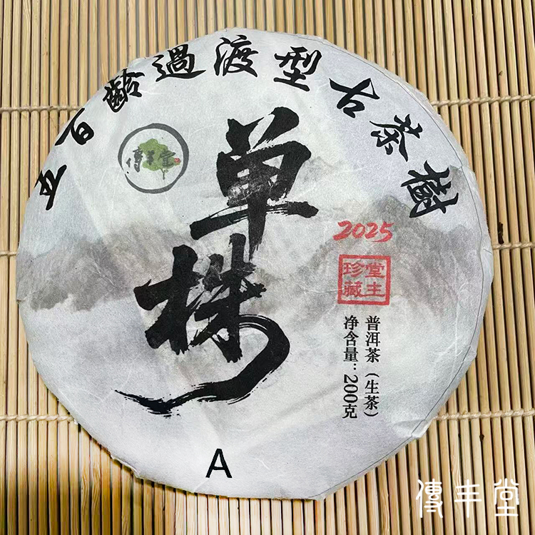 2025年 五百齡過渡型古樹單株青餅 (A.平河單株)